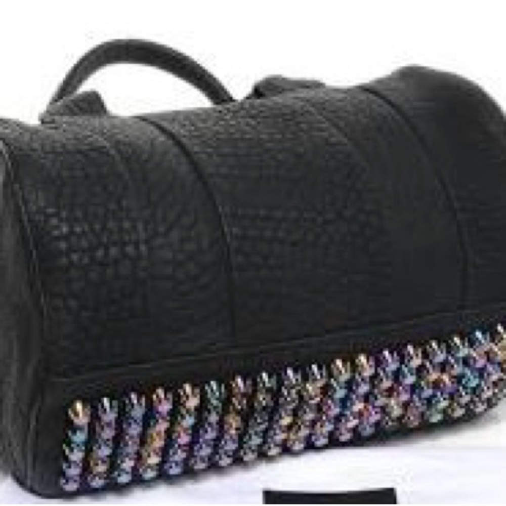 Unique Alexander Wang Iridescent Rocco